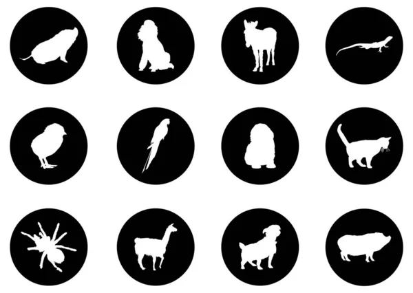 Animales Iconos Set Vector Ilustración — Archivo Imágenes Vectoriales