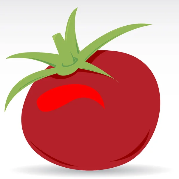 トマト新鮮な野菜分離アイコン — ストックベクタ