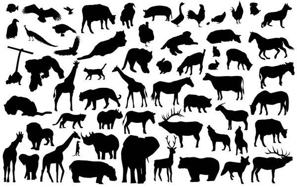 Collection Animals Silhouettes Vector — Stock Vector