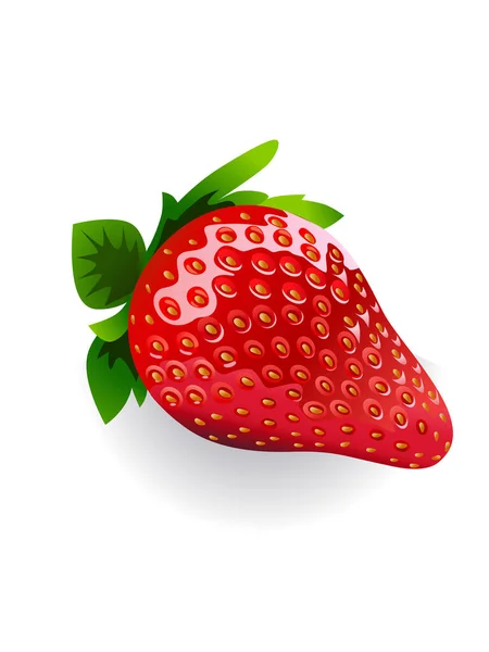 Διανυσματική Ρεαλιστική Φράουλα Νωπή Φράουλα — Διανυσματικό Αρχείο