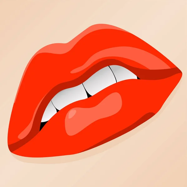 Female Lips Vector Illustration — 图库矢量图片