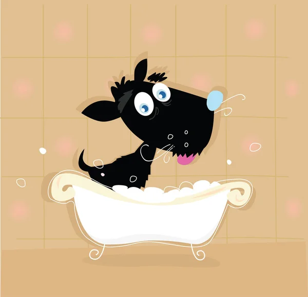 Dog Bath Vector Illustration — Stock Vector