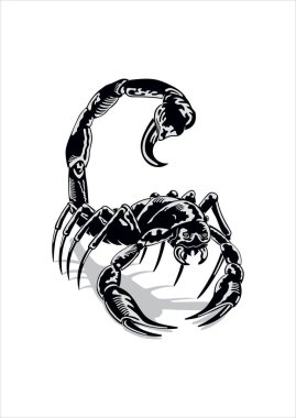 Akrebin beyaz arka planda izole edilmiş siyah ve beyaz vektör çizimi