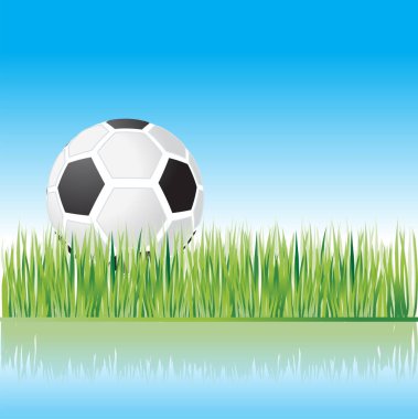 Yeşil çimlerde futbol topu