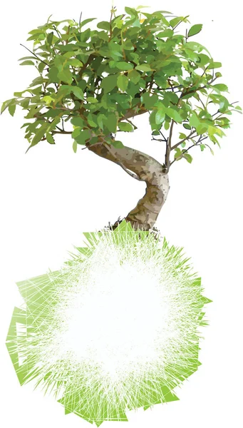 Green Bonsai Tree Render — Stock Vector