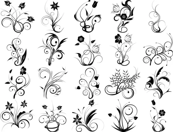 Éléments Design Floral Noir — Image vectorielle