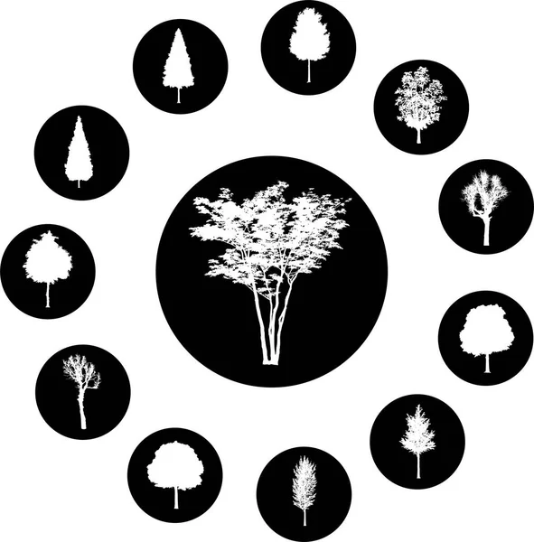 Ilustracja Wektorowa Sylwetek Drzew — Wektor stockowy