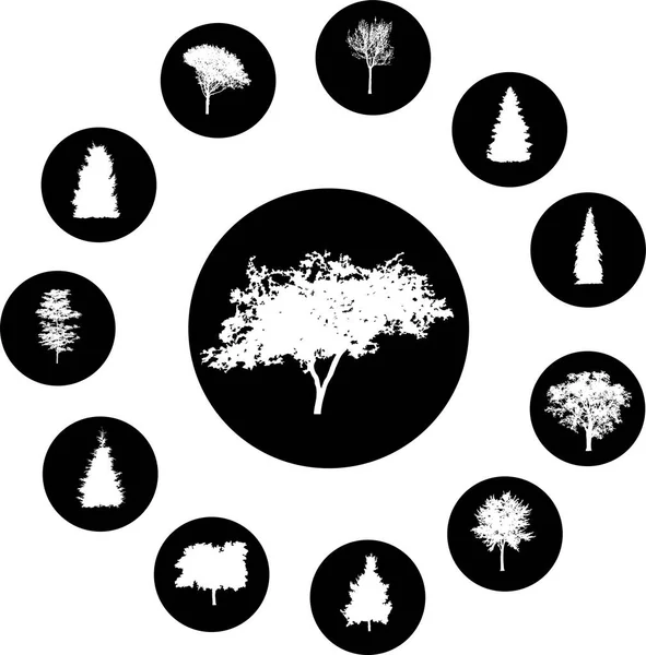Drzewa Ikona Zestaw Czarny Kolor Wektor Ilustracja — Wektor stockowy