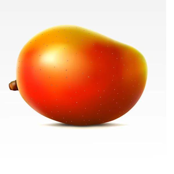 Renderizado Mango — Vector de stock