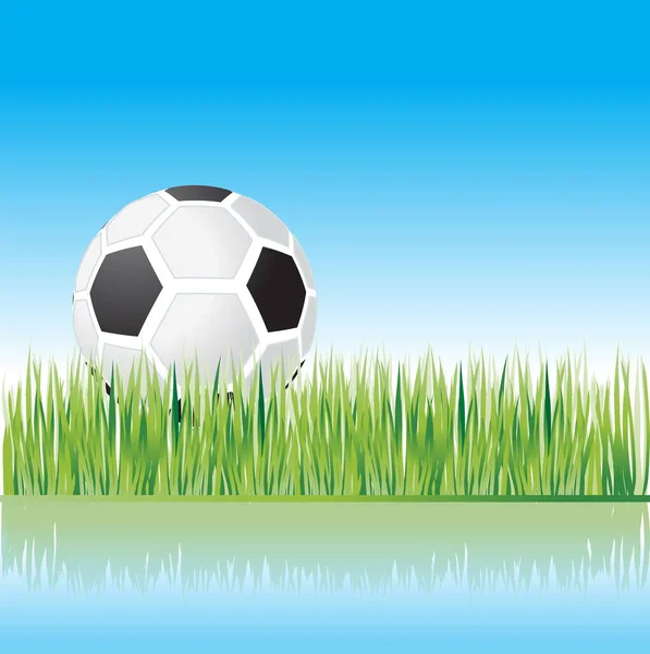 Pelota Fútbol Sobre Hierba Verde — Vector de stock