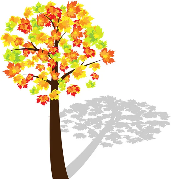 Obrázek Vektoru Podzimního Stromu — Stockový vektor