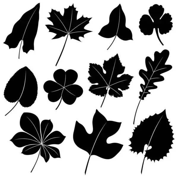 Jeu Feuilles Noires Blanches Illustration Vectorielle — Image vectorielle