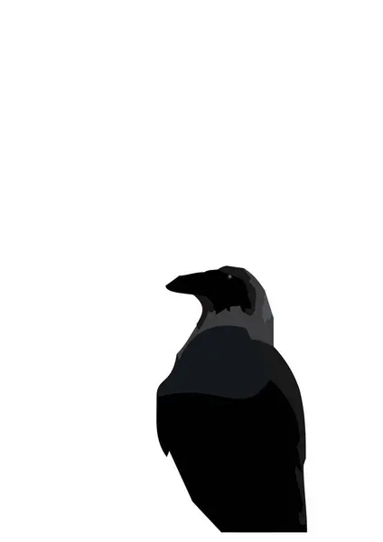 Corbeau Sur Fond Blanc — Image vectorielle