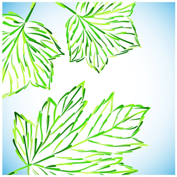 Зеленый Лист Изолирован Белом Фоне — стоковый вектор