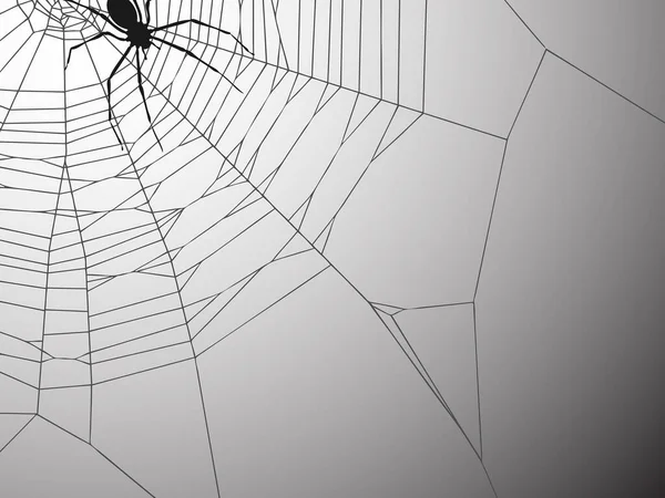 Spinne Und Netz Auf Grauem Hintergrund — Stockvektor