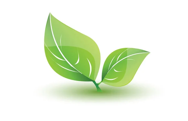 Yeşil Yapraklar Simgesi Vektör Illüstrasyonu — Stok Vektör