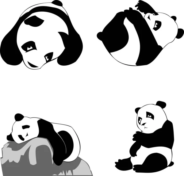 Vecteur Panda Noir Blanc Set — Image vectorielle