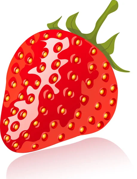 Red Strawberry White Background — Stock Vector