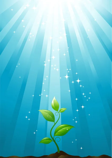 Plante Avec Des Rayons Soleil Fond Bleu — Image vectorielle
