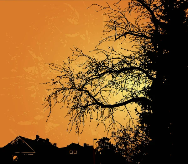 Beautiful Silhouette Tree Sunset — Stock Vector