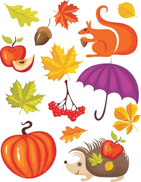 Collection Autumn Leaves — Stock Vector