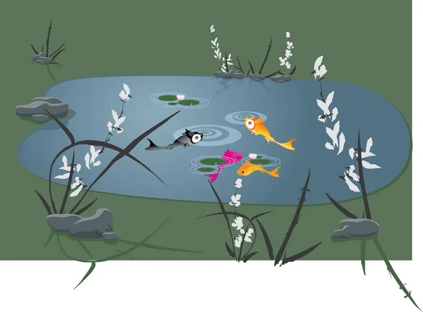 魚と池のイラスト — ストックベクタ