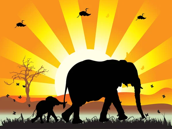 Elefantfamilj Med Sol Och Fåglar Vid Solnedgången — Stock vektor