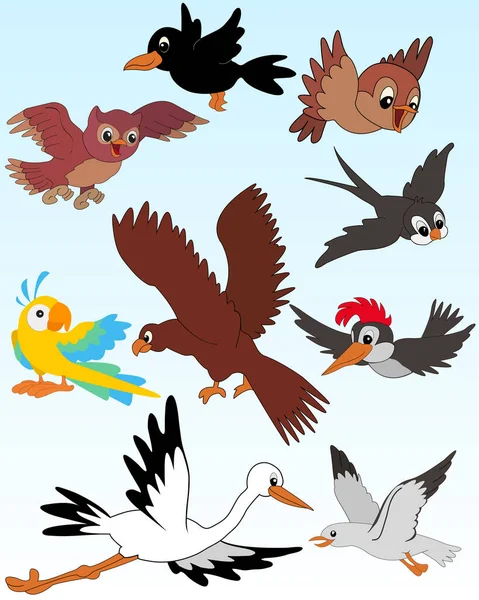 Illustration Reihe Von Cartoon Vögeln — Stockvektor