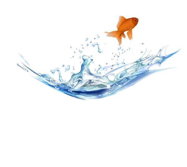 Goldfische Wasser Vektor — Stockvektor