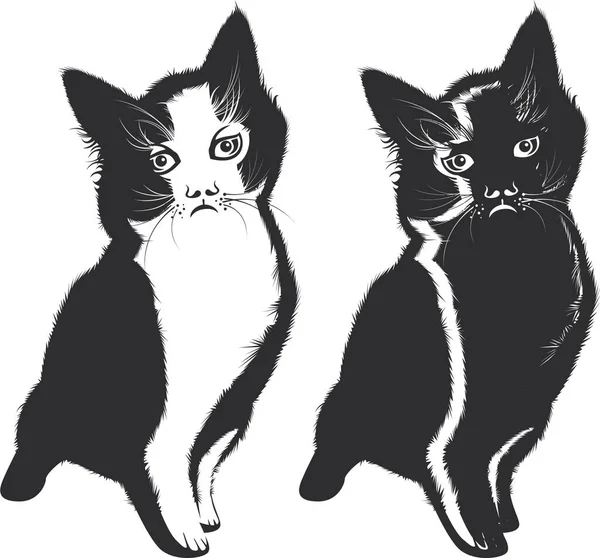 Kočičí Vektorová Ilustrace Izolovaná Bílém — Stockový vektor