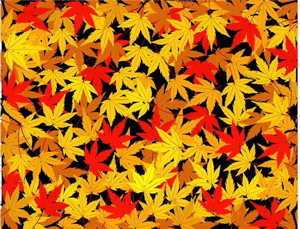 秋天叶背 — 图库矢量图片
