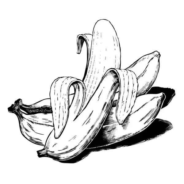Dessin Vectoriel Croquis Banane Fraîche Banane — Image vectorielle