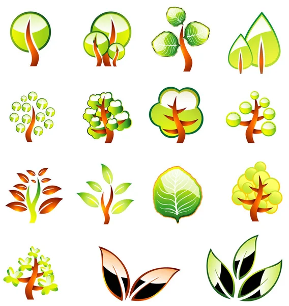 Ensemble Plantes Fleurs Illustration Vectorielle — Image vectorielle