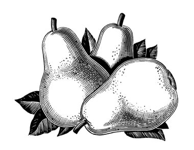 El çizimi armutlar, illüstrasyon, vektör