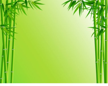 arka plan bambu ormanı yeşili