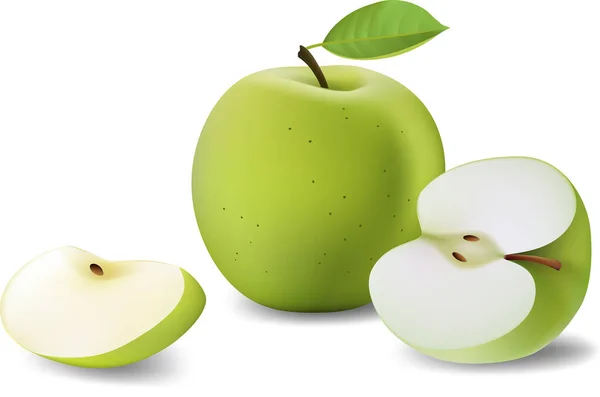 Vector Illustration Realistic Green Apple — Stock Vector