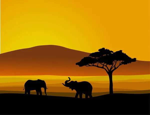 Silhuett Elefant Savann Vid Solnedgången — Stock vektor