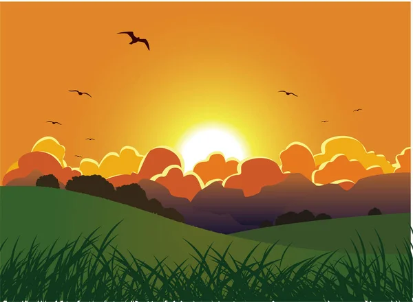 vector illustration of the landscape at sunset