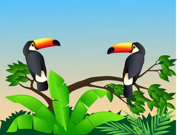 Ilustracja Dwóch Tukańskich Ptaków — Wektor stockowy