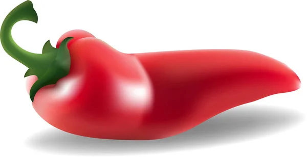 Hete Chili Peper Rode Hete Chili Peper Geïsoleerd Een Witte — Stockvector