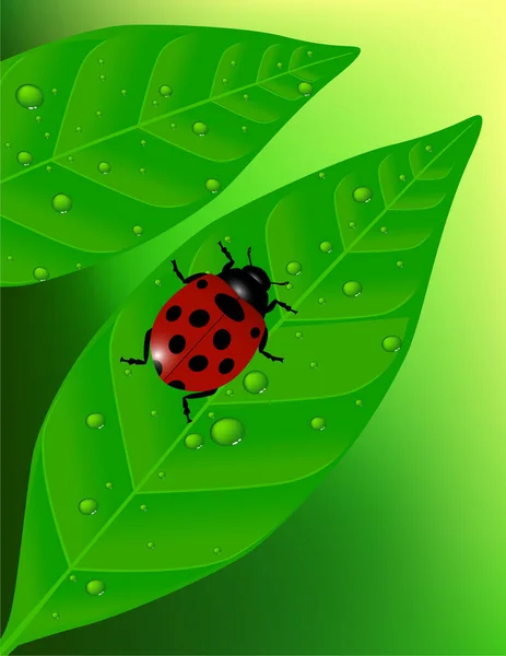 Ladybug Green Leaf Modern Vector Illustration — Stock Vector