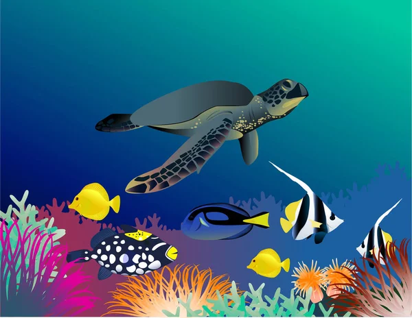 Żółw Ryby Morzu Koralami Ilustracja Wektora — Wektor stockowy