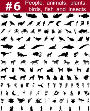 Vector silhouettes hayvanların kümesi