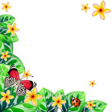 Tropikal çiçek arkaplanının vektör çizimi