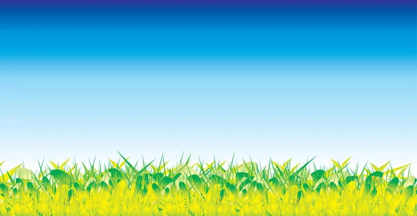 Vector Illustratie Van Natuur Achtergrond Met Een Gras Blauwe Lucht — Stockvector