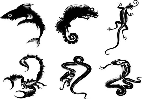 Dragon Noir Blanc — Image vectorielle