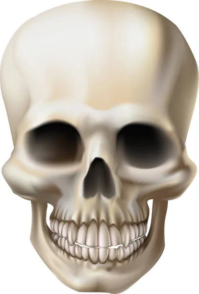 Skull White Background Modern Vector Illustration — Stock Vector
