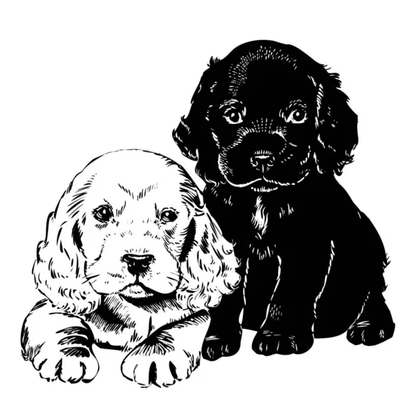 Schwarz Weiße Hunde Moderne Vektorillustration — Stockvektor