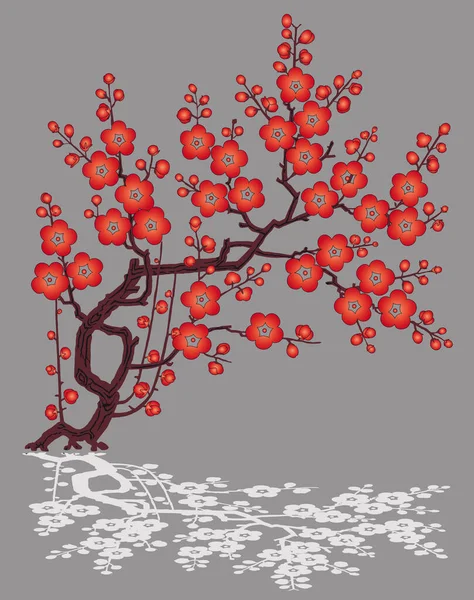 Sakura Cherry Boom Bloei — Stockvector