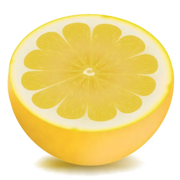Ilustrasi Vektor Irisan Lemon - Stok Vektor